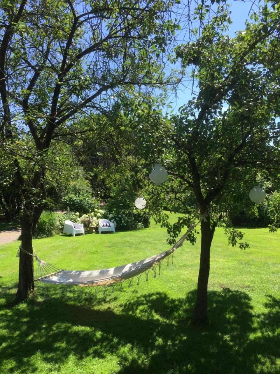 Aan De Aelder Esch Bed & Breakfast Aalden ภายนอก รูปภาพ