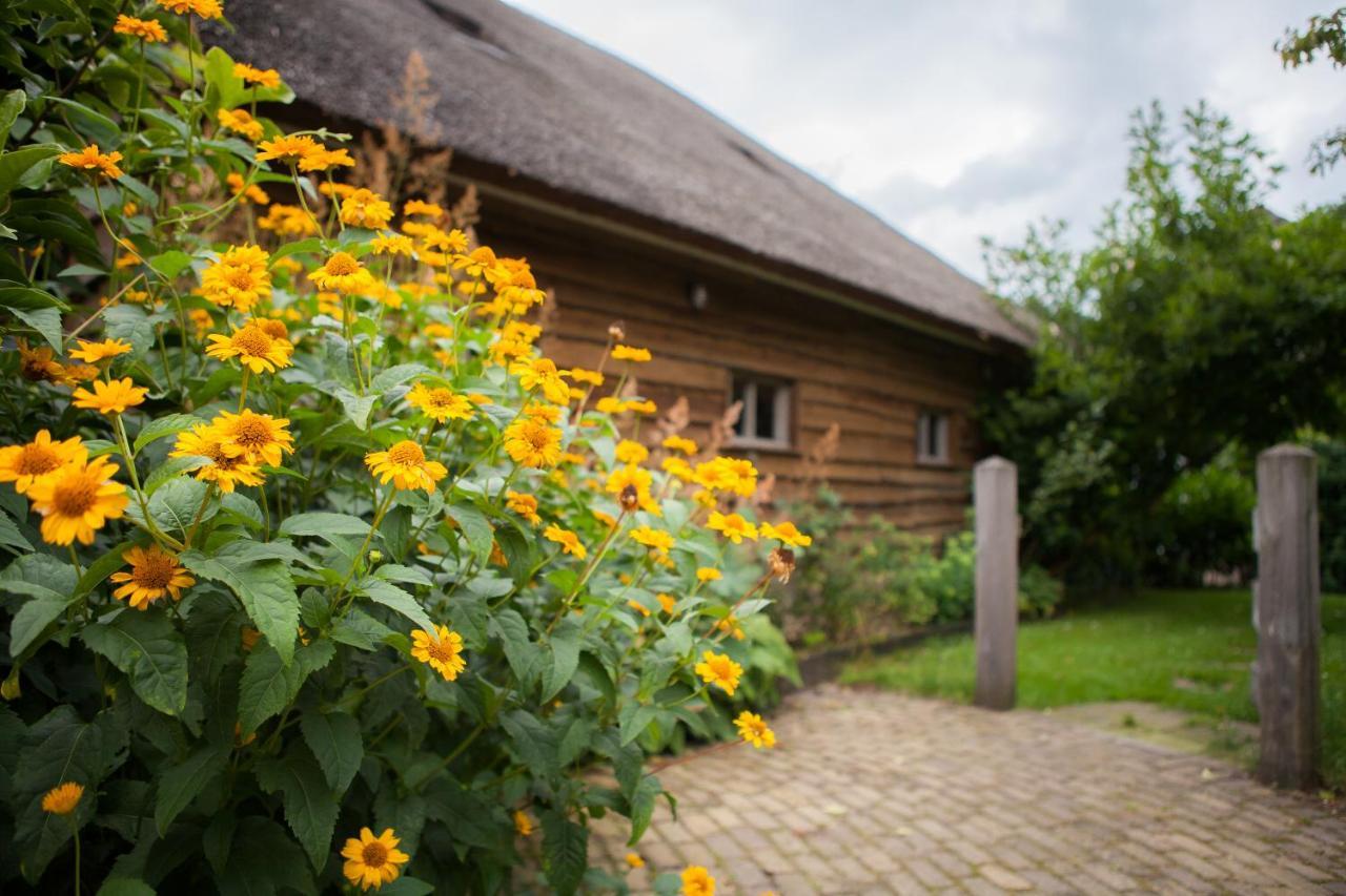 Aan De Aelder Esch Bed & Breakfast Aalden ภายนอก รูปภาพ