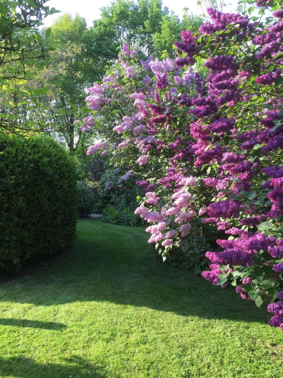Aan De Aelder Esch Bed & Breakfast Aalden ภายนอก รูปภาพ